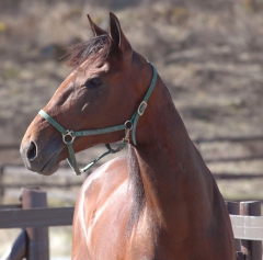 Random Shot 150415-10